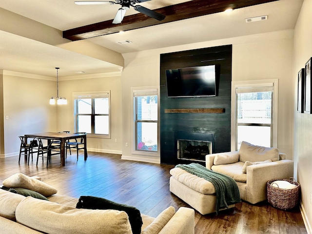 living room featuring dark hardwood / wood-style flooring, beamed ceiling, a fireplace, ceiling fan with notable chandelier, and ornamental molding