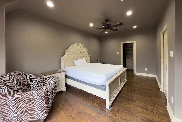 bedroom with a walk in closet, a closet, ceiling fan, and dark wood-type flooring