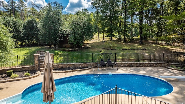 view of pool with a patio area