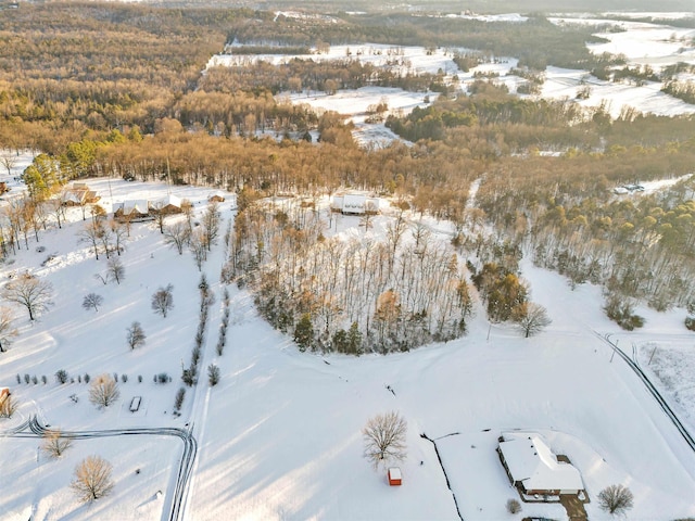 view of snowy aerial view