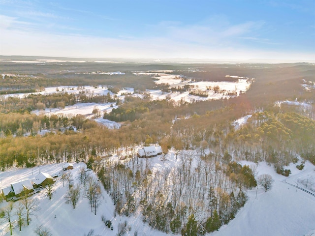 view of snowy aerial view