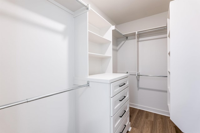 walk in closet with dark hardwood / wood-style floors