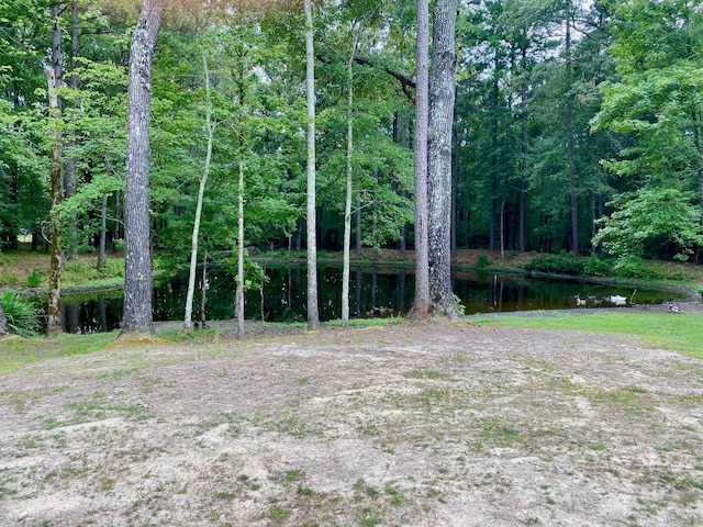 view of yard with a water view