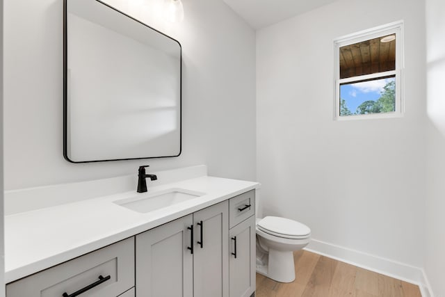 bathroom with vanity, toilet, and wood-type flooring