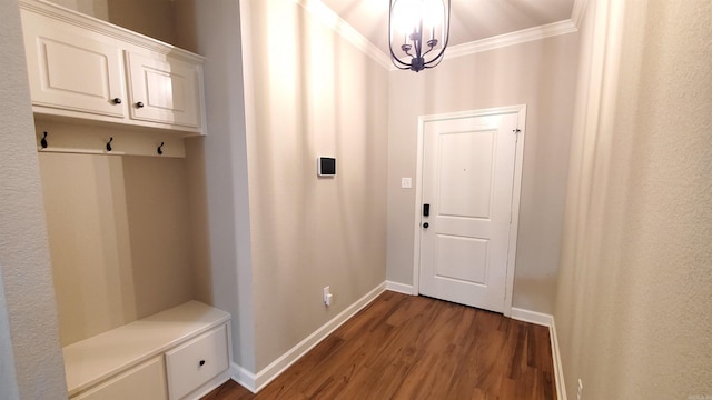 mudroom featuring crown molding and dark hardwood / wood-style floors