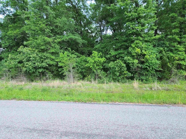 Listing photo 2 for Airport Rd, Morrilton AR 72110