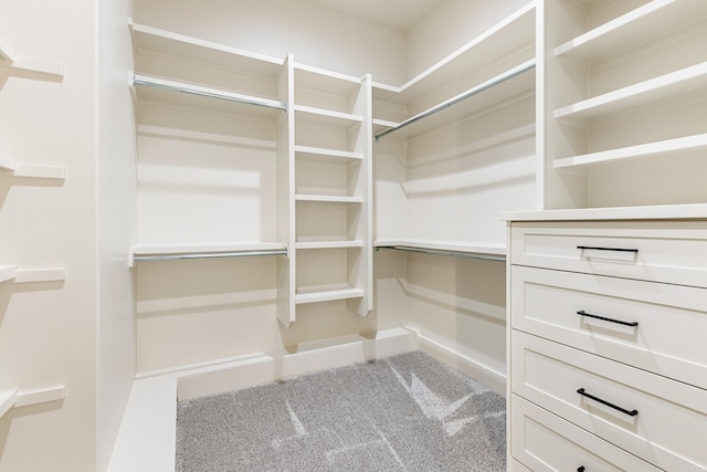 spacious closet with carpet floors