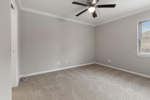 carpeted spare room with ceiling fan and crown molding