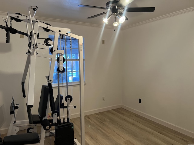 workout room featuring ornamental molding, ceiling fan, and light hardwood / wood-style floors