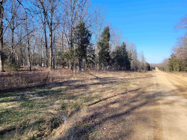 Listing photo 3 for TBD Indian Hills Rd, Glencoe AR 72539