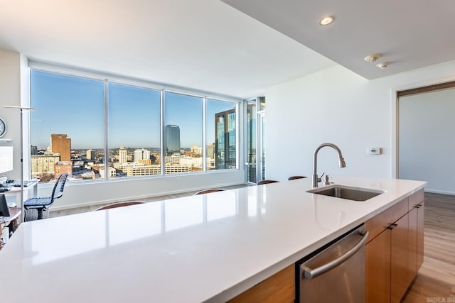 kitchen featuring light hardwood / wood-style floors, stainless steel dishwasher, and sink