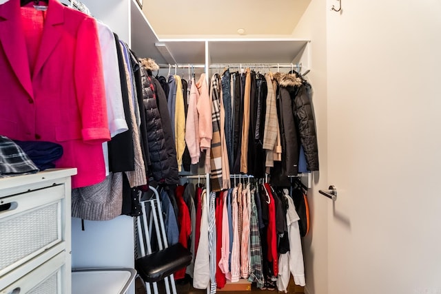 view of spacious closet