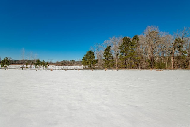 view of yard layered in snow