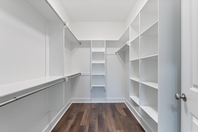 spacious closet featuring dark hardwood / wood-style flooring