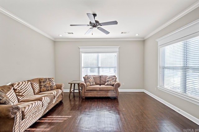 living room featuring dark hardwood / wood-style floors, ceiling fan, crown molding, and a wealth of natural light