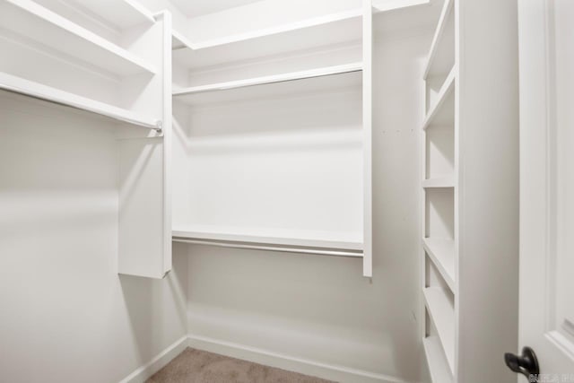 walk in closet featuring carpet