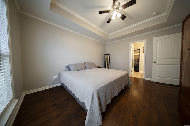 bedroom with ceiling fan, crown molding, dark wood-type flooring, and a tray ceiling