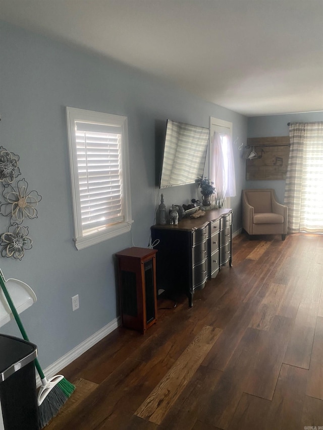 living room with dark hardwood / wood-style floors