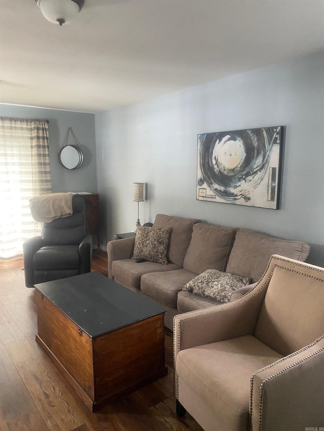 living room featuring dark hardwood / wood-style flooring