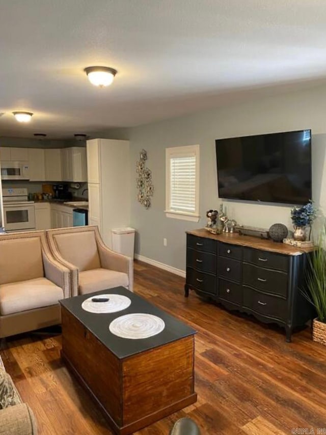 living room with dark hardwood / wood-style floors