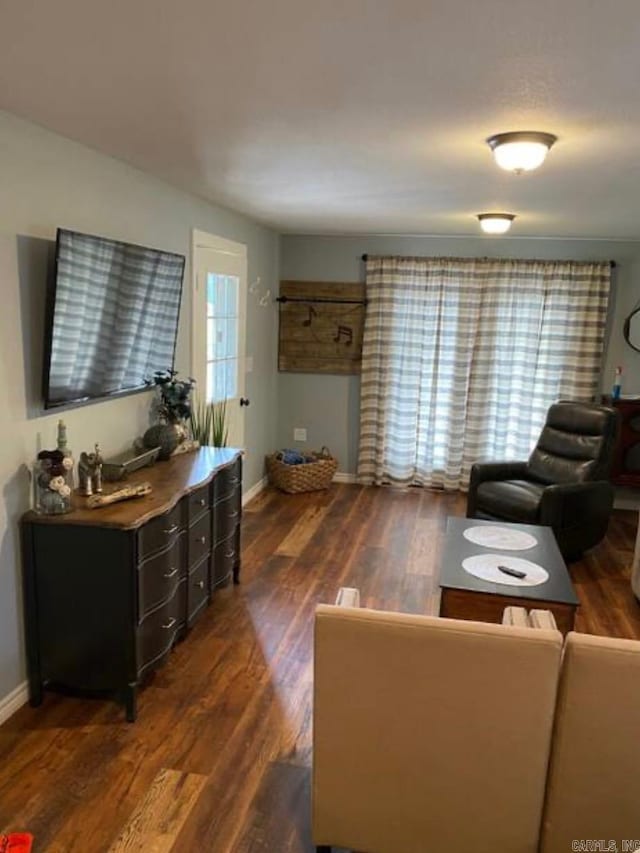 living room featuring dark hardwood / wood-style flooring