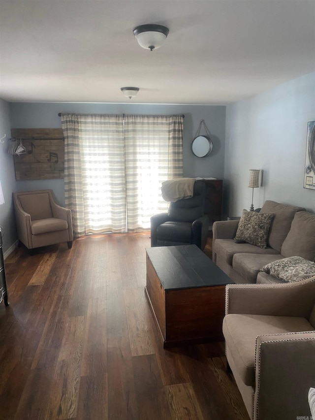 living room featuring dark wood-type flooring