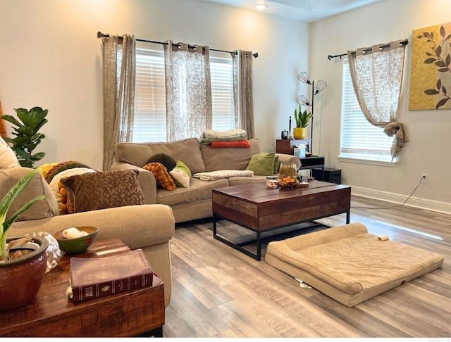 living room with a healthy amount of sunlight and light wood-type flooring