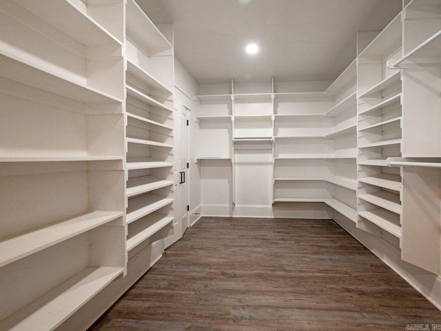 walk in closet with dark wood-type flooring