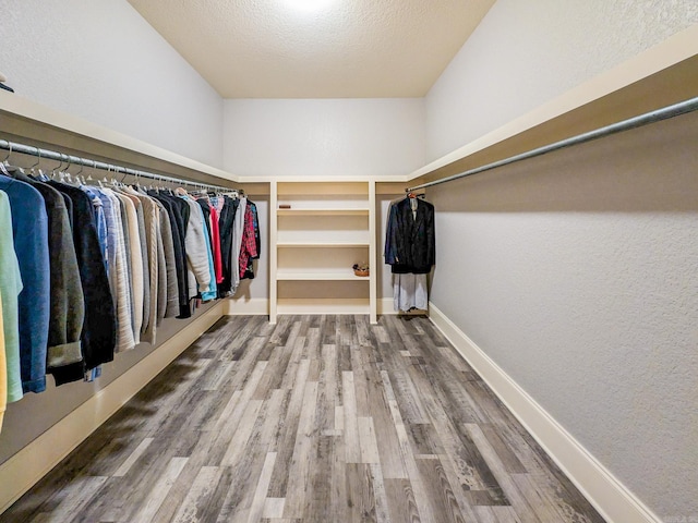 spacious closet featuring wood-type flooring