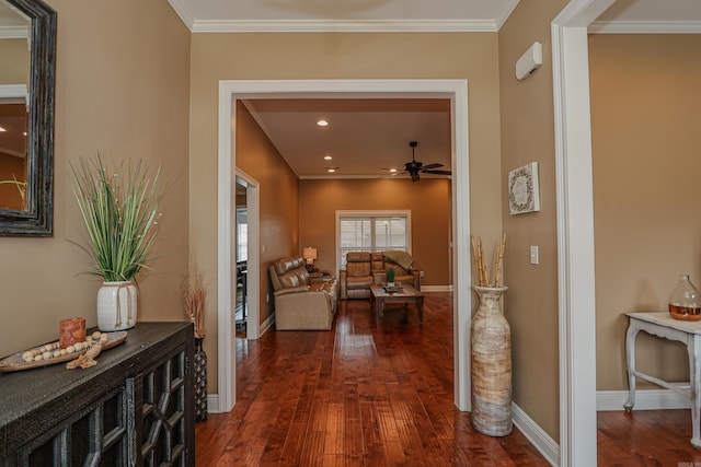 hall with crown molding and dark hardwood / wood-style flooring