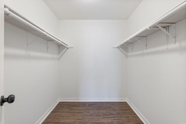 walk in closet with dark wood-type flooring