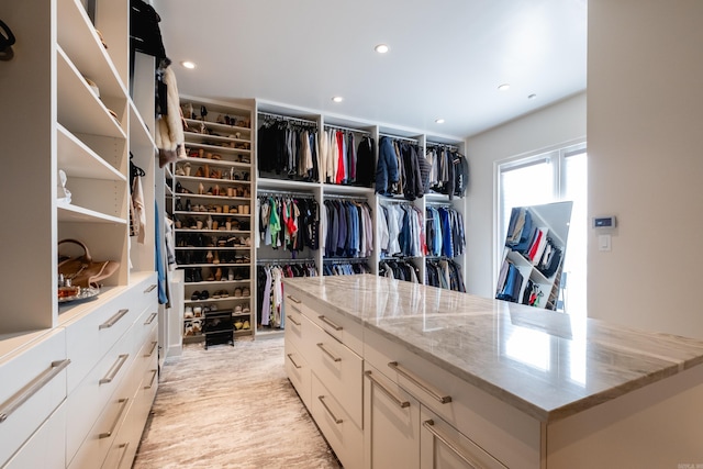 spacious closet with light hardwood / wood-style flooring