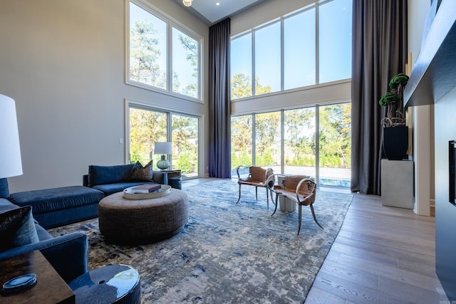 living room with a towering ceiling and light hardwood / wood-style flooring