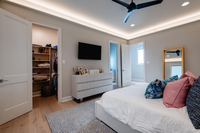 bedroom with ceiling fan, a walk in closet, light hardwood / wood-style flooring, and a closet