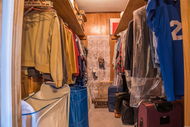 spacious closet featuring light colored carpet