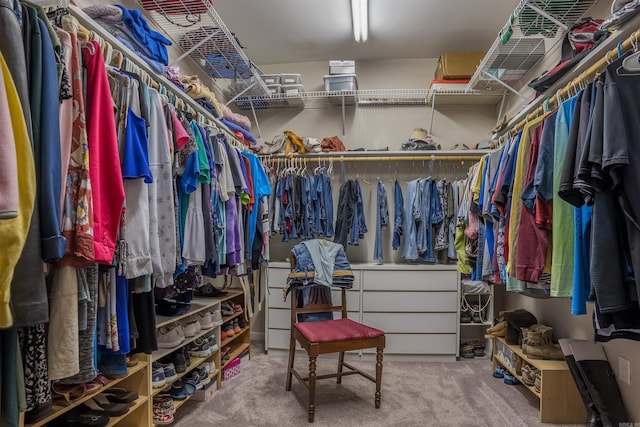 spacious closet with carpet