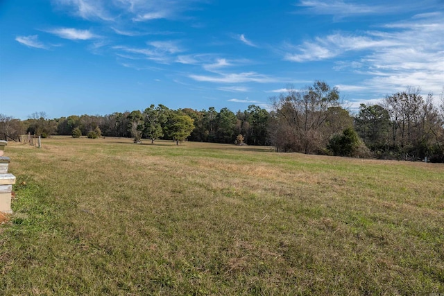 view of yard with a rural view