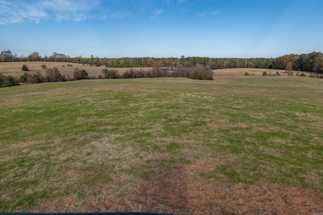 view of yard with a rural view