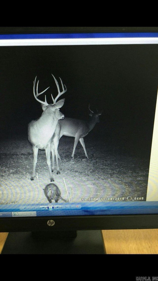 Listing photo - caption unavailable