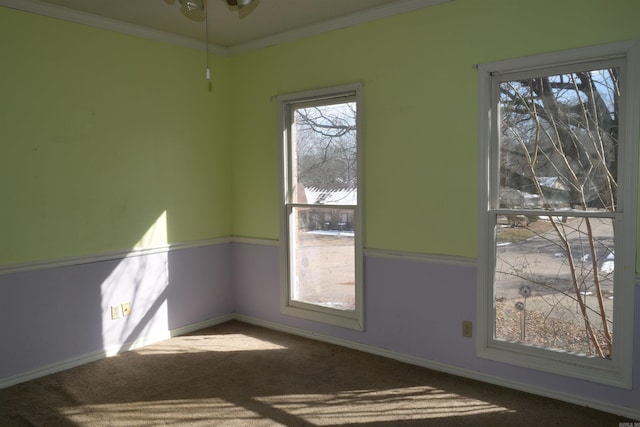 empty room with ceiling fan, carpet, and crown molding