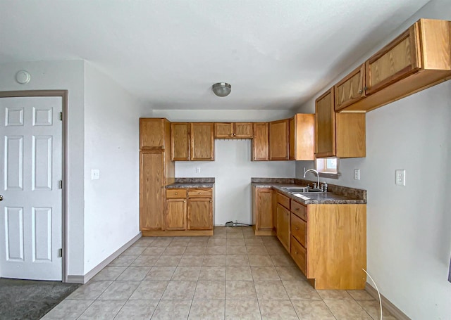 kitchen with sink