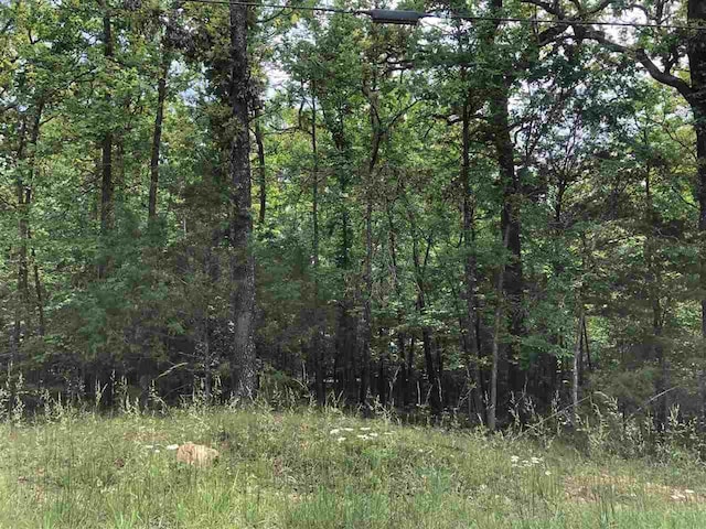 Address Not Disclosed, Cherokee Village AR, 72529 land for sale