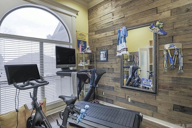 exercise area with ornamental molding, wooden walls, and hardwood / wood-style flooring