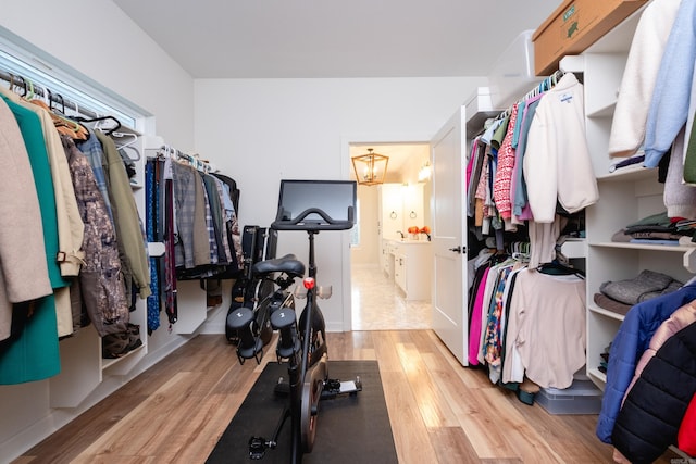 walk in closet featuring light hardwood / wood-style floors