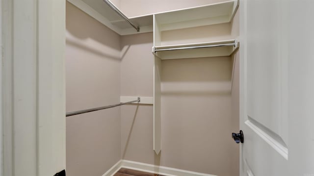 view of walk in closet