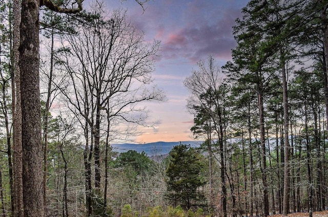 nature at dusk with a mountain view