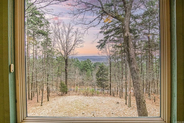 view of nature at dusk