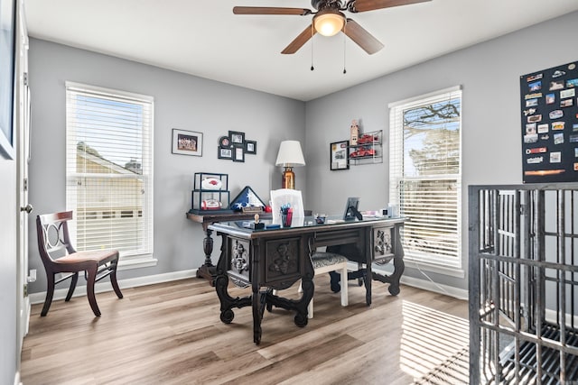 office area with ceiling fan, light wood-type flooring, and a wealth of natural light