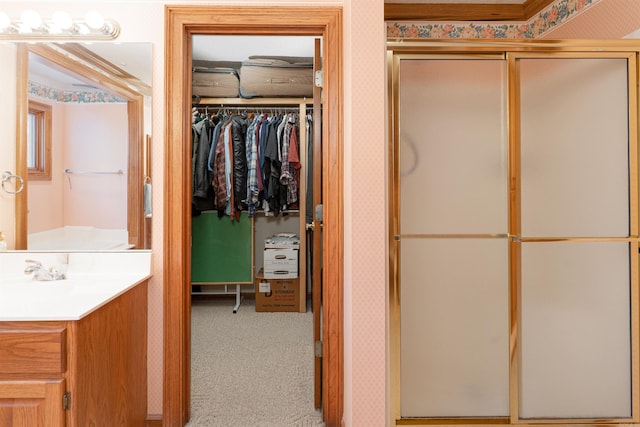 bathroom featuring walk in shower and vanity