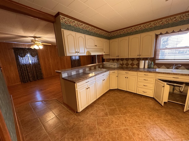 kitchen with sink, wooden walls, ceiling fan, and kitchen peninsula